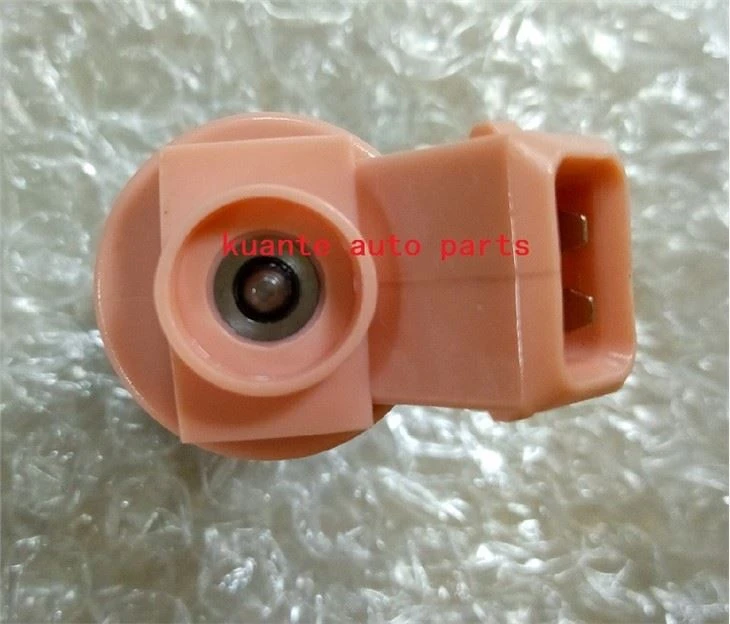 Nissan petrol injector